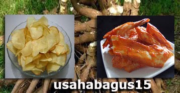 Peluang Usaha Makanan