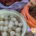 Kopek Buah Rambutan