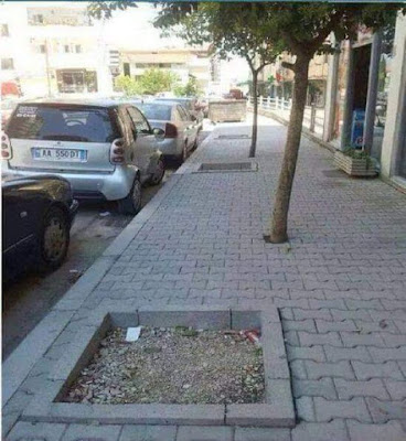 Plantation d'arbres raté sur un trottoir