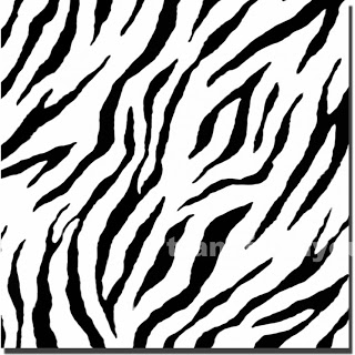 Background Zebra5