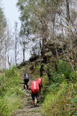 gunung lawu cemoro sewu