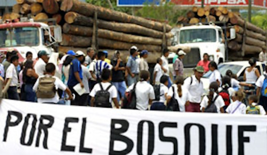 Latinoamérica, el lugar más peligroso para los activistas ambientales