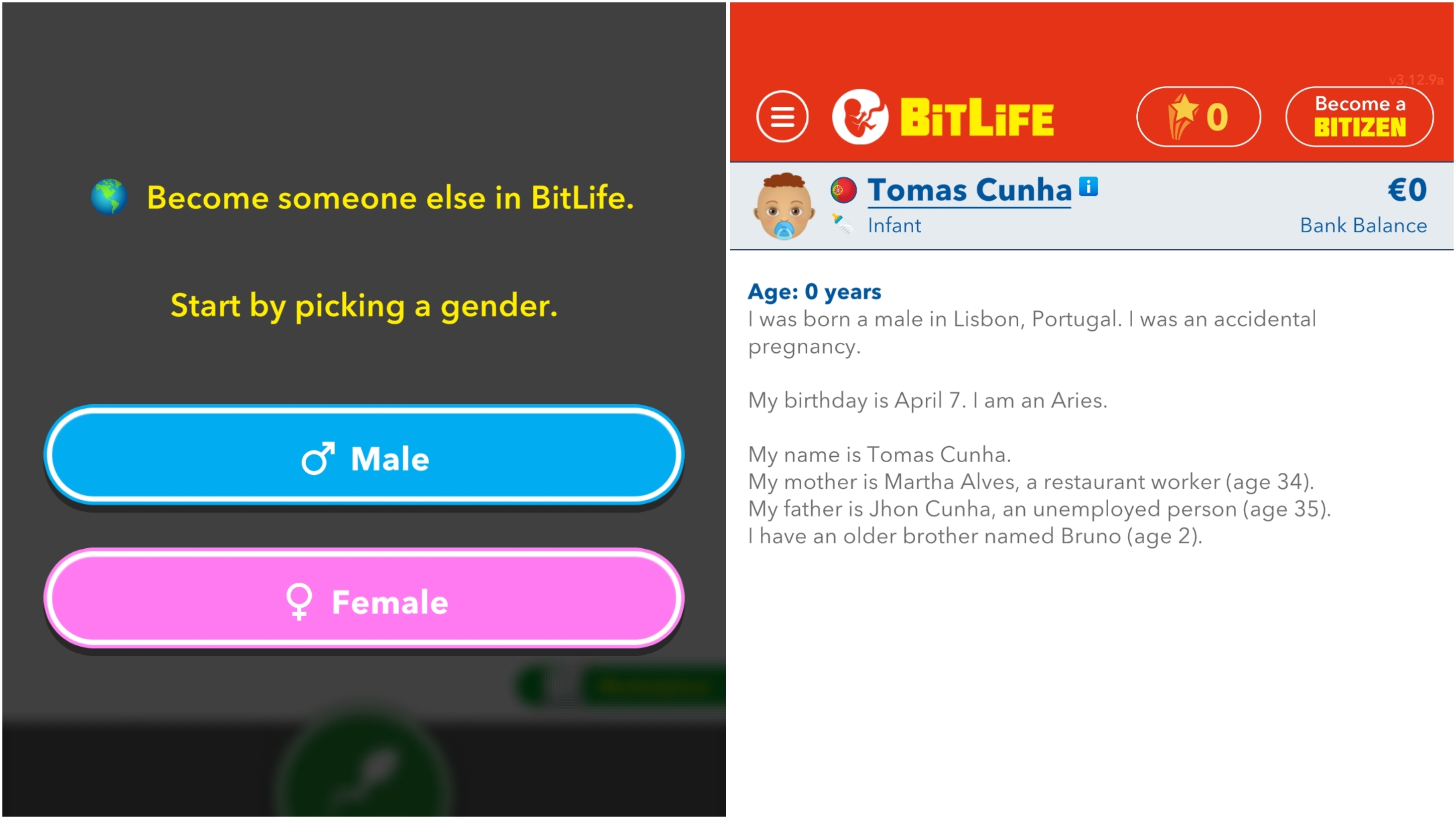 BitLife - Life Simulator 1