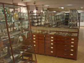 Petrie Museum