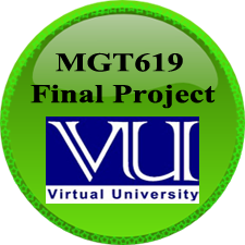 MGT619 MBA Final Project