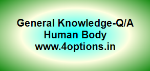 Top 50 GK questions and answer (human body) set 7