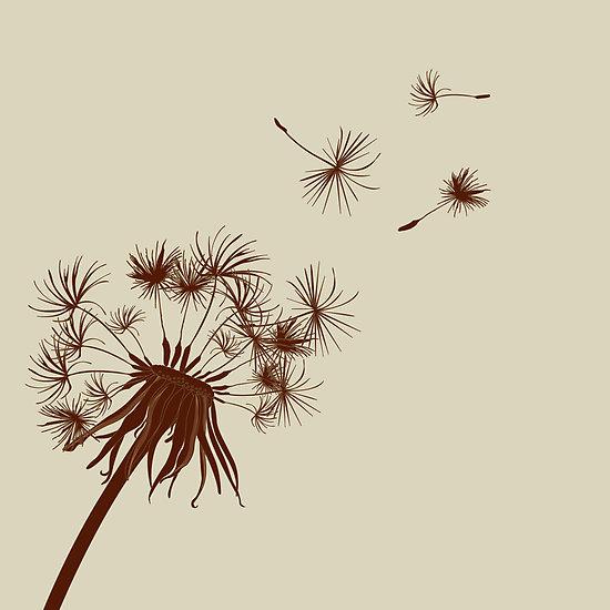 dandelion tattoos. My tattoo idea.