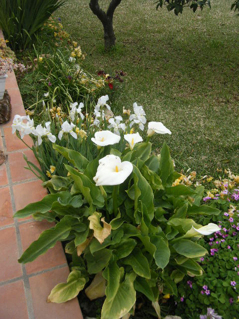 2010_04070001.JPG