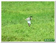 20120325_145208_06413_TianLiaoyang