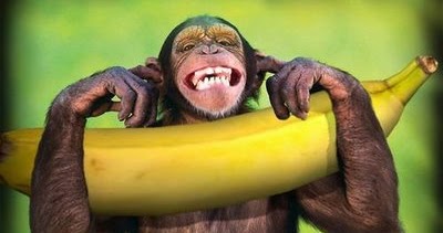O macaco e a banana