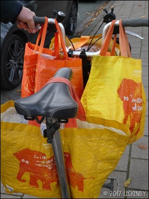 A fully loaded bike P1170383sm