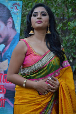 Actress-hot-saree-blouse