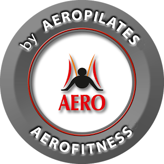 profesorado-oficial-en-aero-yoga-y-aeropilates-chile-santiago-aerial-aerien-fly-flying-valparaiso-vina-del-mar-formacion-profesional-studio-profesor