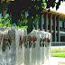 Harvey Mudd College