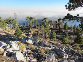 View south from Middle Hawkins View south from Middle Hawkins