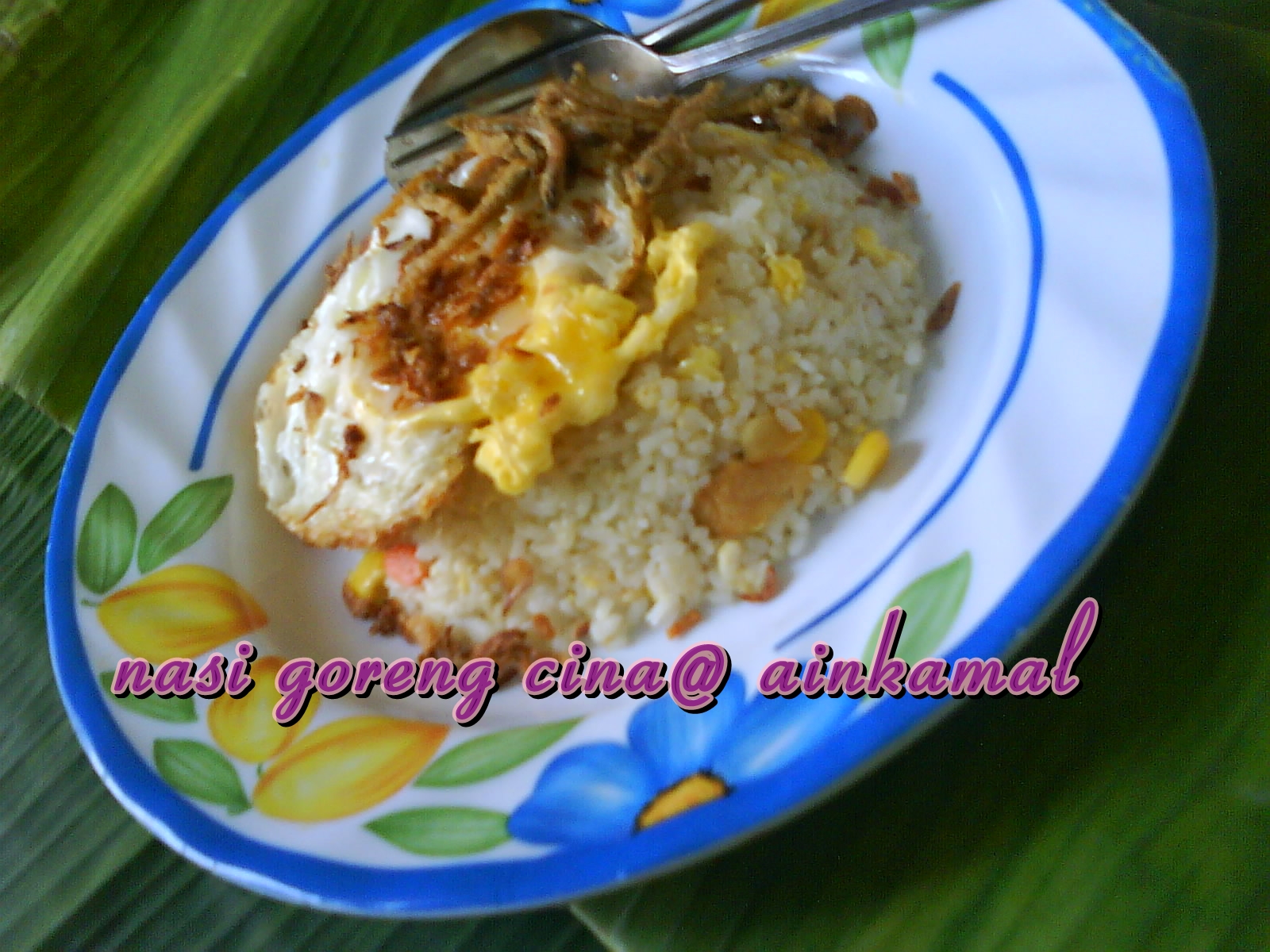 Resepi Kehidupanku: Nasi Goreng Cina