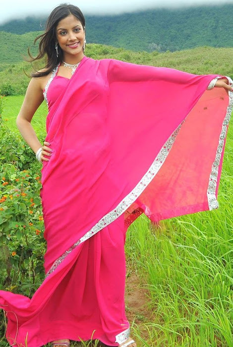 rithika in pink saree actress pics