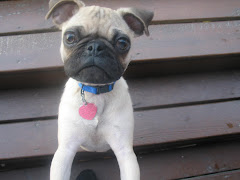 Pugsley