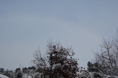 snow bow