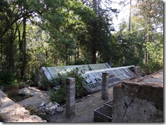 Outre des jardins et potagers, vous pourrez ausi voir des serres
