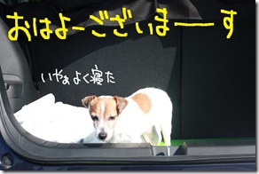 今日カズ１００６０６　１