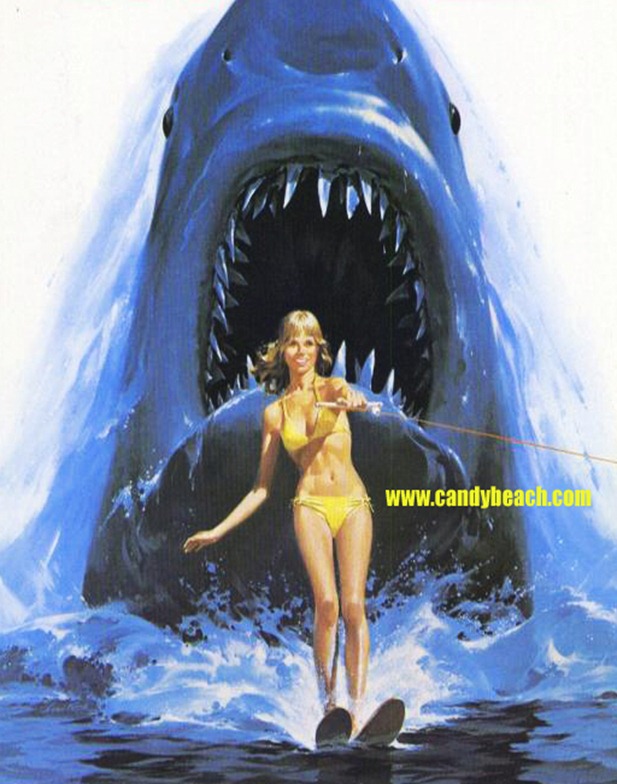 sharkfb1