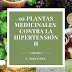 10 Plantas Medicinales contra la hipertensión II