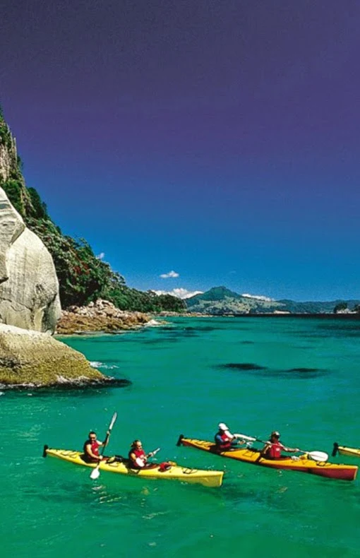 Coromandel Peninsula in New Zealand