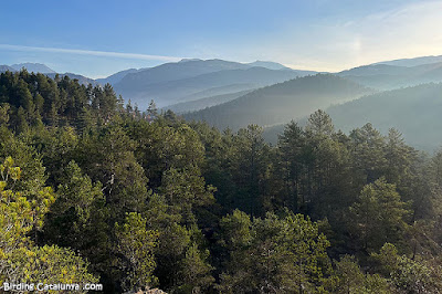 Vall de Lord