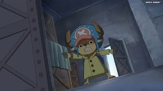 ワンピースアニメ パンクハザード編 622話 チョッパー かわいい Tony Tony Chopper | ONE PIECE Episode 622