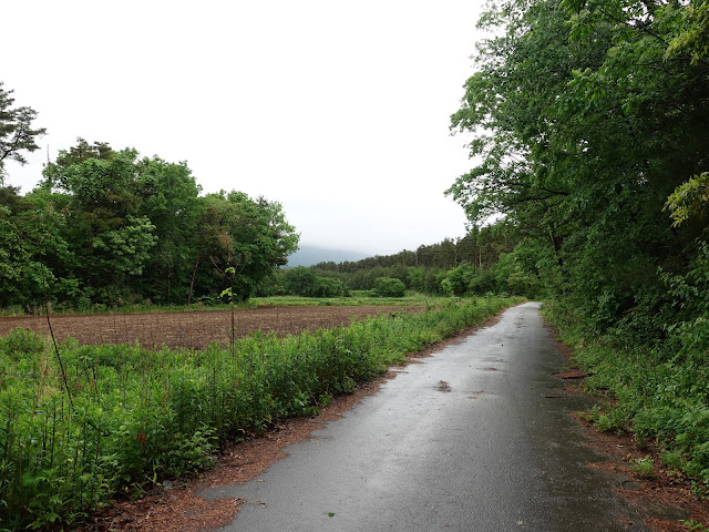 鳥取県西伯郡大山町一の谷　牧草地