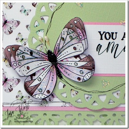 Fruit Punch Butterfly (3)