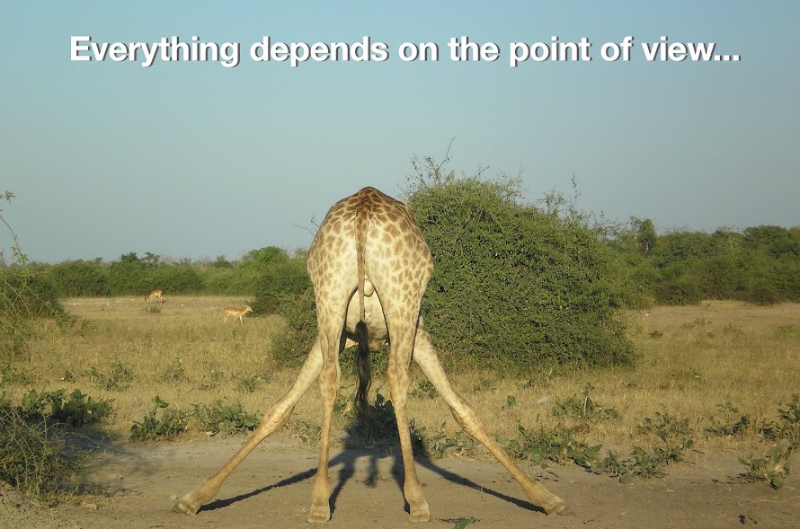 Eric Dorr's Blog - Everything depends on the point of view