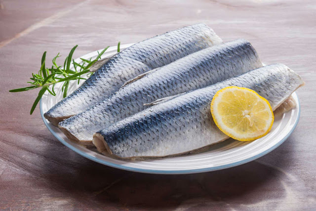 Cá Herring