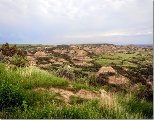 Theodore Roosevelt Nat'l Park