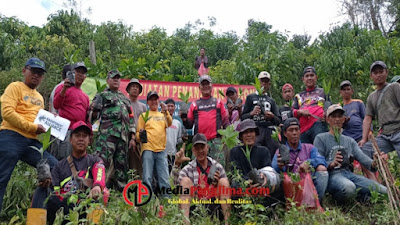 Jaga Kelestarian Hutan, TNI Bersama Masyarakat Pekon Bedudu Tanam Pohon Sebanyak 4000 Pohon