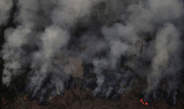 The Amazon Rainforest Has Been Devastated By Fire For Weeks, And The World Hardly Knows
