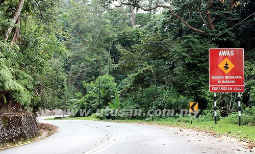 Apa Cerita Jalan Bukit Putus Sekarang? ~ Sembang Eh Sembang