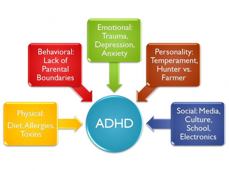 ADHD Causes Image