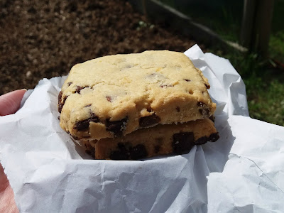 chocolate chip shortbread squares - www.growourown.blogspot.com