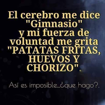 Lo servell me diu "gimnasio" y la meua forsa de voluntat me cride "pataques fregides, ous y churís", aixina es impossible aprimám, qué fach ?