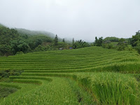 sapa vietnam cosa fare e vedere