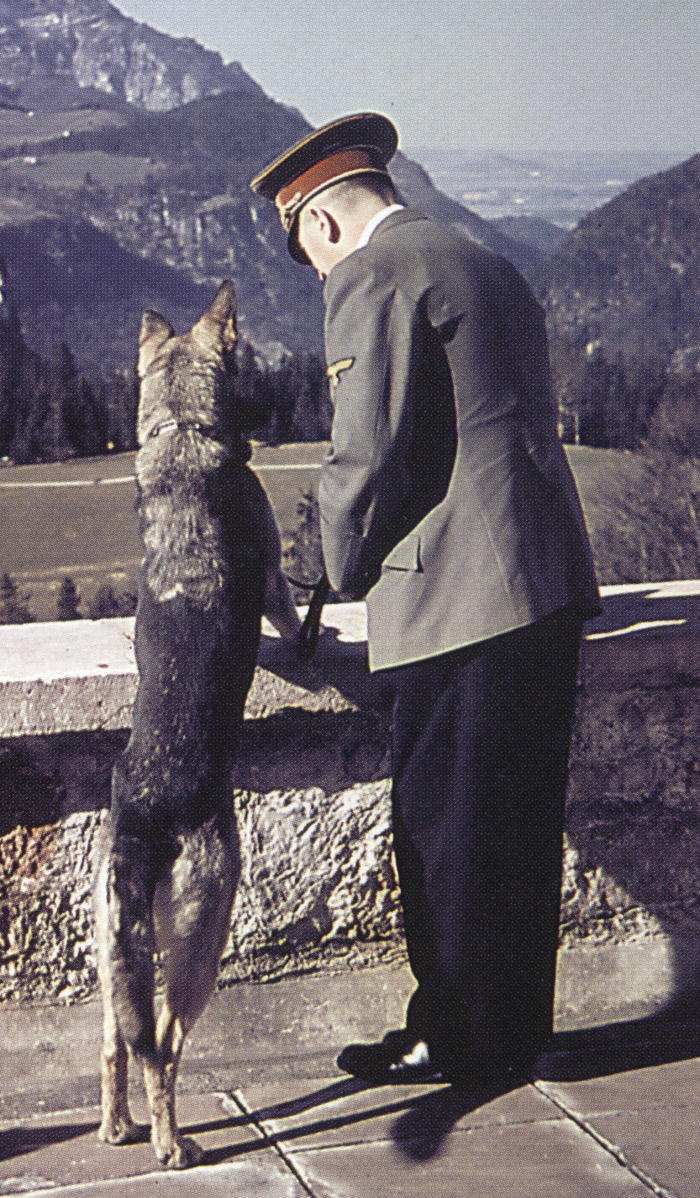 dog with hitler