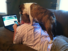 funny animal pictures, dog standing on his owner back