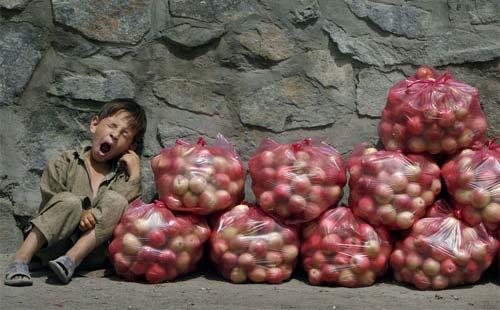 venta de manzanas