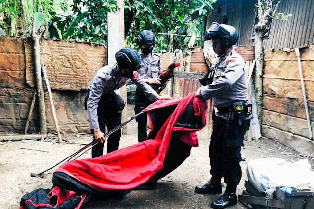 Resahkan warga, polisi gerebek judi sabung ayam di Sumbawa