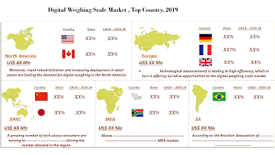 Digital Weighing Scale market size