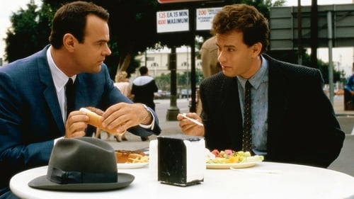 Dos sabuesos despistados 1987 ver pelicula completa