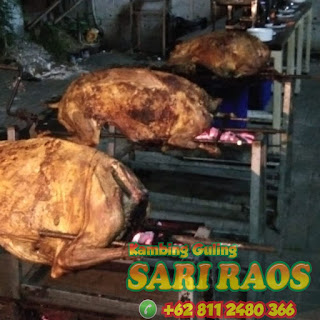 Jual Kambing Guling Empuk Bandung 08112480366,Jual Kambing Guling Empuk Bandung,jual kambing guling bandung,kambing guling bandung,jual kambing guling,kambing guling empuk bandung,kambing guling,