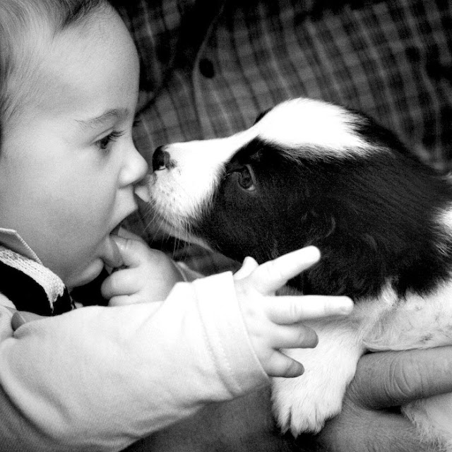 Kids and Pets Seen On www.coolpicturegallery.us